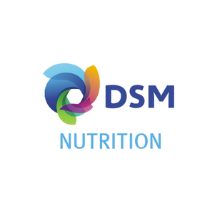 DSM Logo